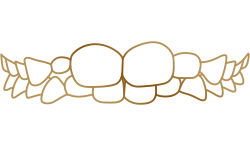 Mix of Baby and Permanent Teeth